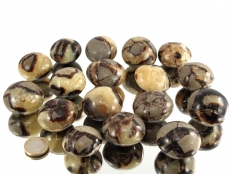 Septarian Nodule XL Tumbled Stones - 1 lb