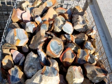 Polychrome Jasper Rough Stones - 1 lb