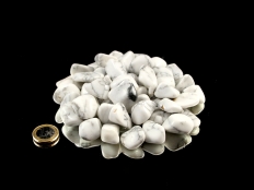 Magnesite (Howlite) Tumbled Stones - 1 lb