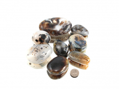 Dendritic Agate XL Tumbled Stones - 1 lb