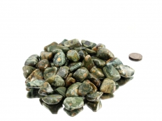 Rhyolite - Rainforest Jasper Tumbled Stones - 1 lb