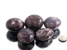Lepidolite XL Tumbled Stones - 1 lb