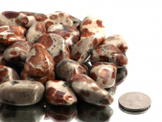 Garnet in Wollastonite tumbled stones - 1lb