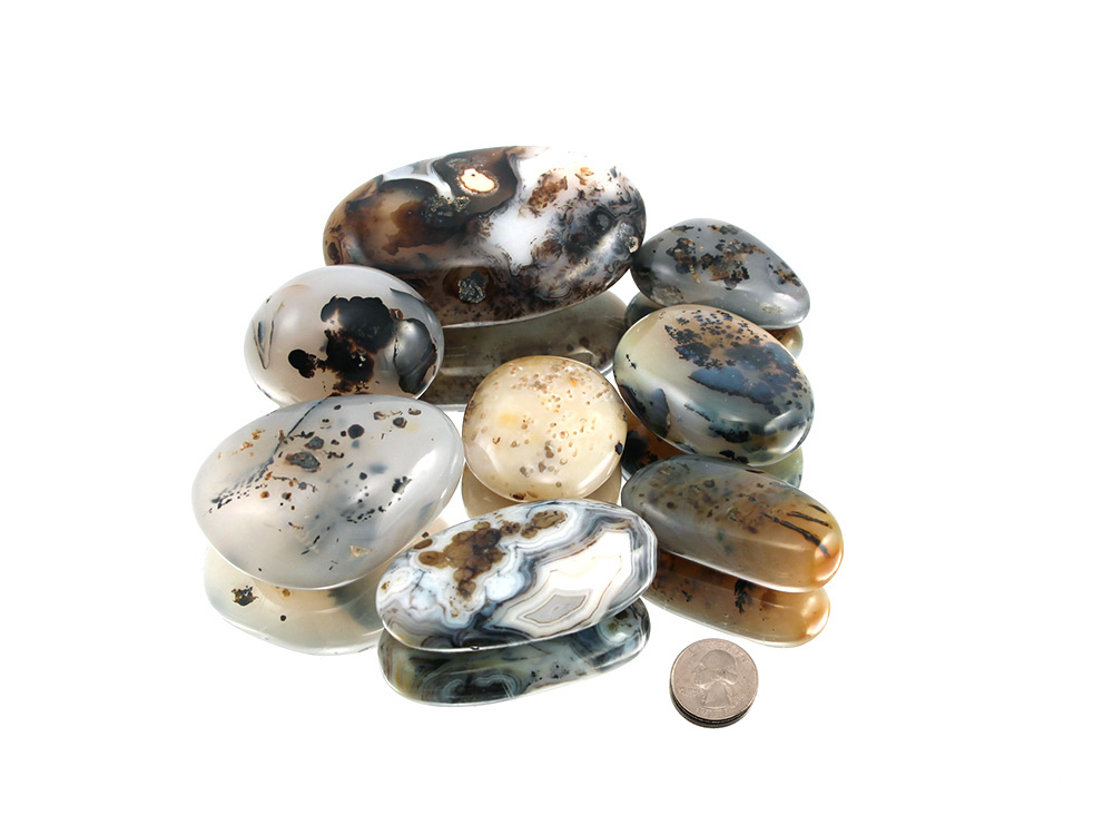 Dendritic Agate XL Tumbled Stones - 1 lb