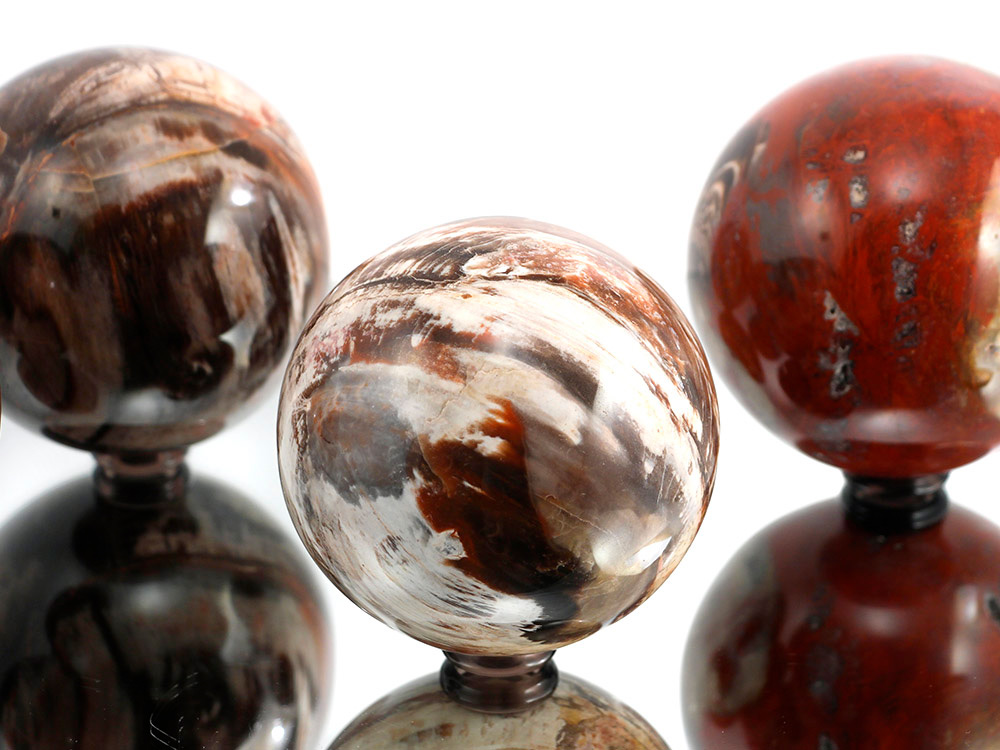 Petrified Wood Sphere - 1 pc