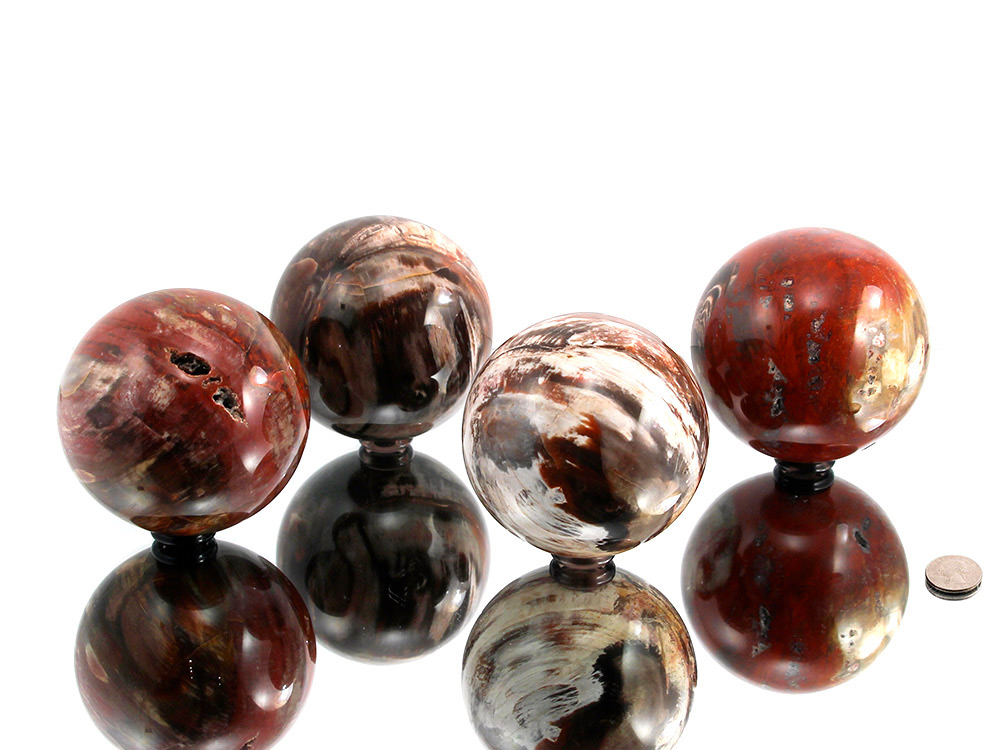 Petrified Wood Sphere - 1 pc