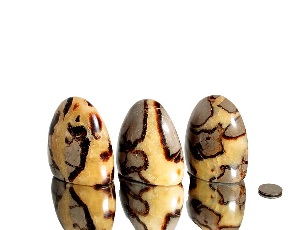 Septarian Nodule Polished Free Forms - 1 pc