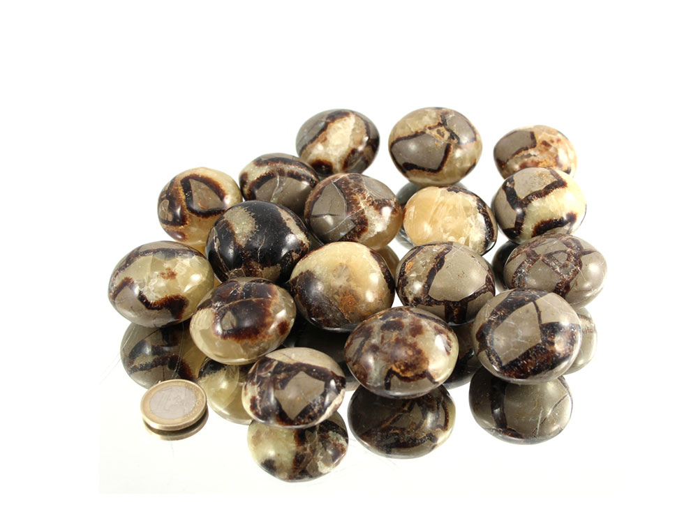 Septarian Nodule XL Tumbled Stones - 1 lb