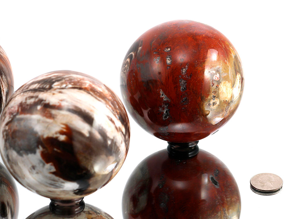 Petrified Wood Sphere - 1 pc