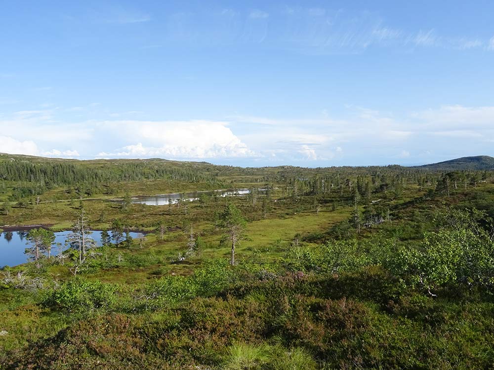 Thulite Palm Stone - 1 pc