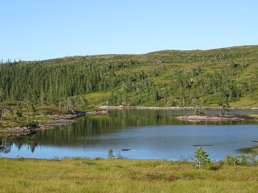 Thulite Nugget Bead Strand - 1 pc