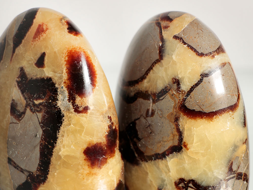 Septarian Nodule Polished Free Forms - 1 pc