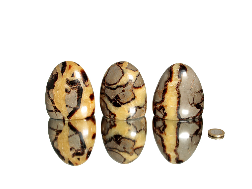 Septarian Nodule Polished Free Forms - 1 pc