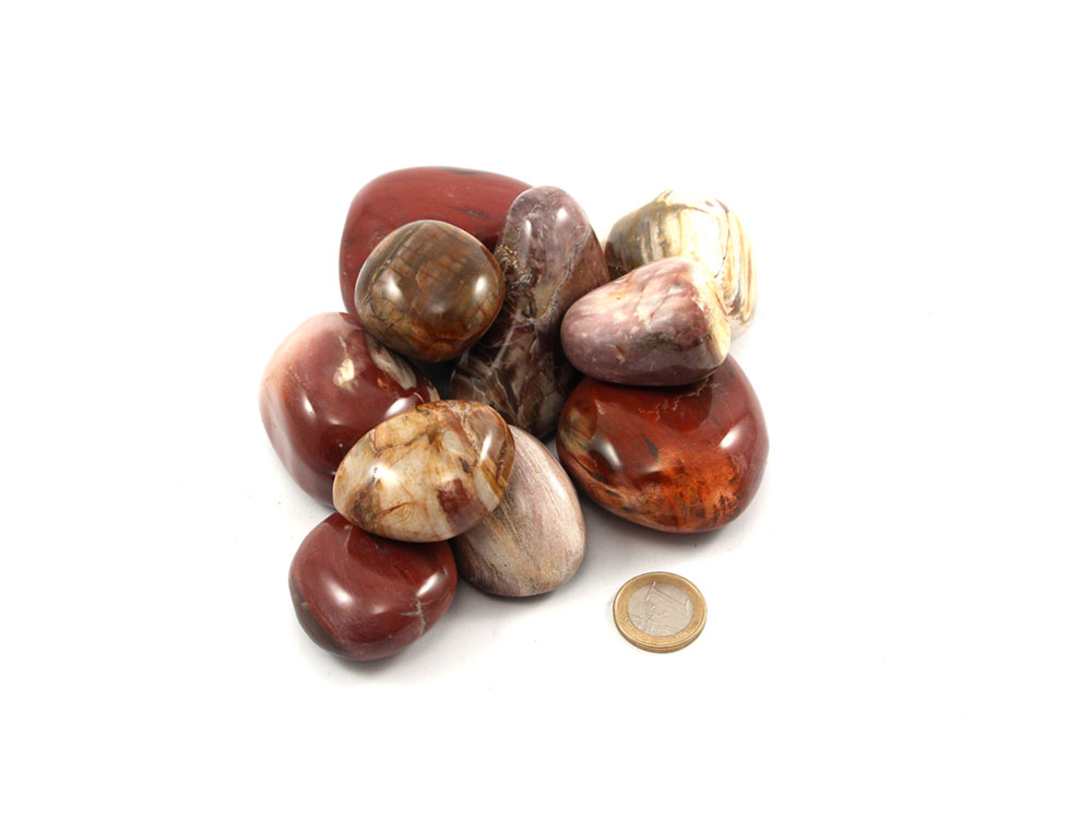 Petrified Wood XL Tumbled Stones - 1 lb