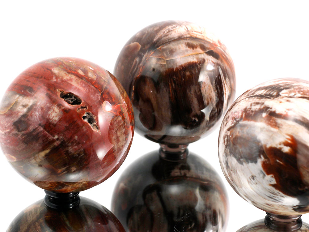 Petrified Wood Sphere - 1 pc