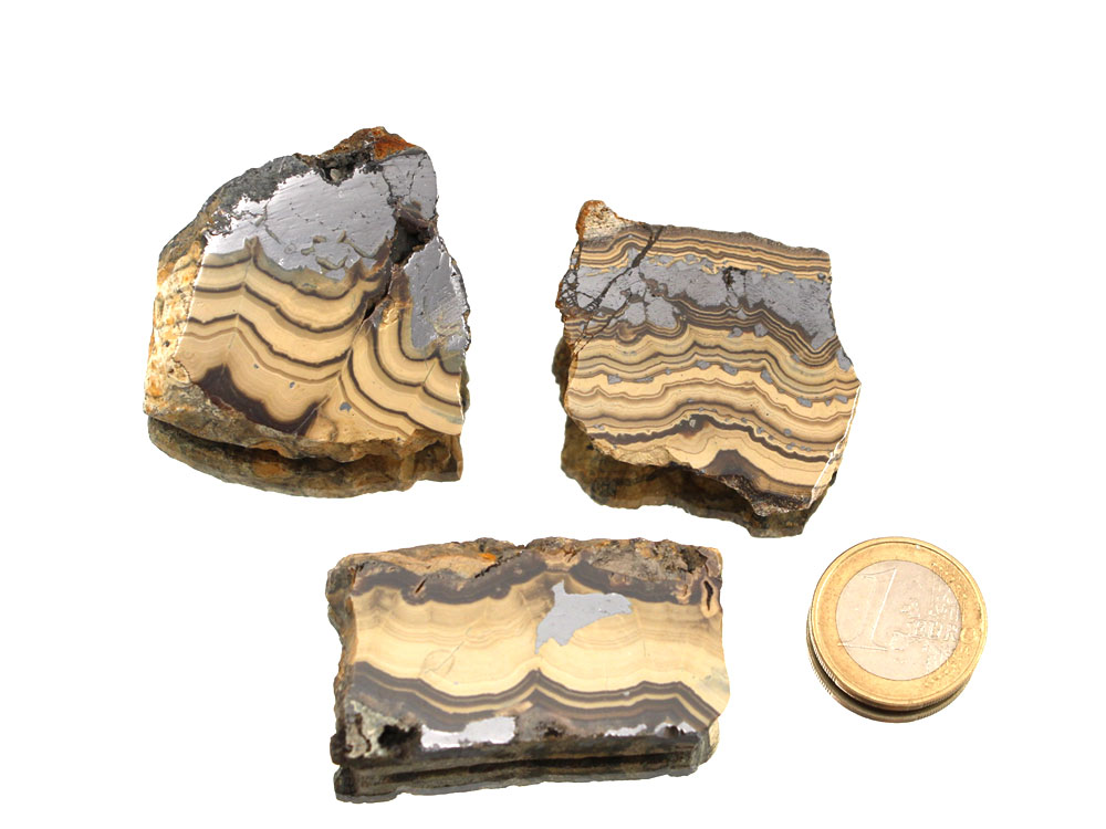 Schalenblende Polished Slabs - 1 pc